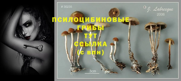 дурь Горнозаводск