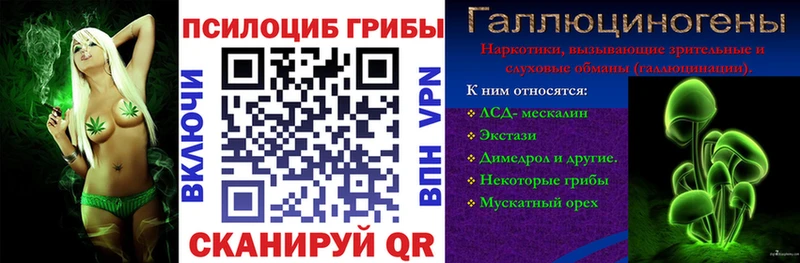 купить наркотик  Юрга  Псилоцибиновые грибы Psilocybine cubensis 